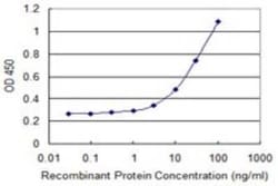 Nidogen-2 Antibody (4G8), Novus Biologicals 0.1 mg | Buy Online | Novus Biologicals | Fisher Scientific