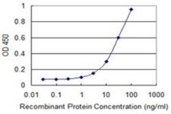 Nitrilase 1 Antibody (1C3), Novus Biologicals 0.1 mg, Unconjugated:Antibodies,