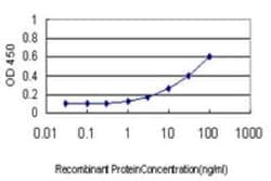 Nodal Antibody (5C3), Novus Biologicals 0.1 mg; Unconjugated:Antibodies,