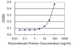 Noggin Antibody (3A2), Novus Biologicals 0.1 mg | Buy Online | Novus Biologicals | Fisher Scientific