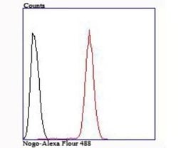 Nogo Rabbit anti-Human, Mouse, Clone: JM02-34, Novus Biologicals 100 &mu;l;