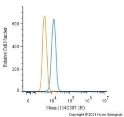 Noxa Antibody (114C307.1R) - BSA Free, Novus Biologicals 0.025 mg; Unconjugated:Antibodies,