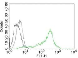 Nucleolin Antibody (364-5), Novus Biologicals:Antibodies:Primary Antibodies