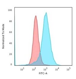 Nucleolin Antibody (SPM614), Novus Biologicals:Antibodies:Primary Antibodies