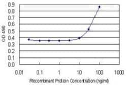 Nucleoplasmin-2 Antibody (5E9), Novus Biologicals 0.1 mg | Buy Online | Novus Biologicals | Fisher Scientific