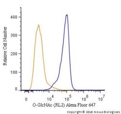 O-GlcNAc Antibody (RL2) - Azide and BSA Free, Novus Biologicals 0.1 mL;