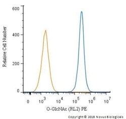 O-GlcNAc Antibody (RL2) - Azide and BSA Free, Novus Biologicals 0.1 mL;