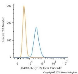 O-GlcNAc Antibody (RL2) - Azide and BSA Free, Novus Biologicals 0.1 mL;