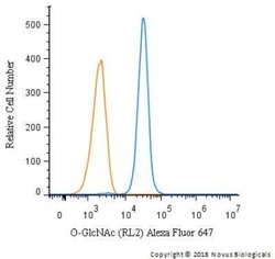 O-GlcNAc Antibody (RL2) - Azide and BSA Free, Novus Biologicals 0.1 mL;