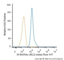 O-GlcNAc Antibody (RL2) - Azide and BSA Free, Novus Biologicals 0.1 mL;