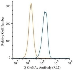 O-GlcNAc Antibody (RL2) - Azide and BSA Free, Novus Biologicals 0.1 mL;