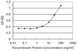 OR2A2 Antibody (4B10), Novus Biologicals 0.1 mg | Buy Online | Novus Biologicals | Fisher Scientific