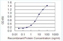 OSBP2 Antibody (2B4), Novus Biologicals 100 &mu;g | Buy Online | Novus Biologicals | Fisher Scientific