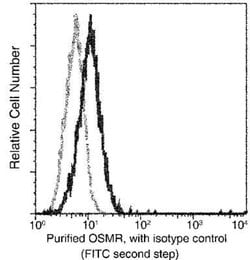 OSMR beta Rabbit anti-Human, Clone: 2, Novus Biologicals 100 &mu;g; Unconjugated:Antibodies,