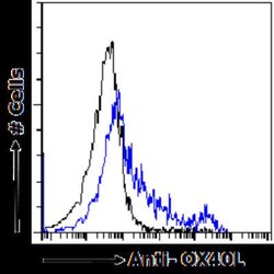 OX40 Ligand/TNFSF4 Antibody (R4930 (Oxelumab)) - Azide and BSA Free, Novus