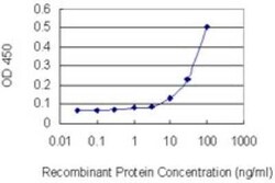 Olfactomedin-1/Noelin-1 Antibody (2E9-1A2), Novus Biologicals 0.1 mg | Buy Online | Novus Biologicals | Fisher Scientific