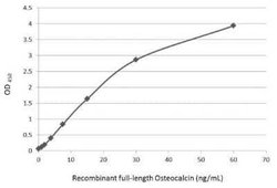 Osteocalcin Antibody, Novus Biologicals 100 &mu;g | Buy Online | Novus Biologicals | Fisher Scientific