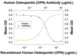 Human Osteopontin/OPN Antibody, R D Systems:Antibodies:Primary Antibodies