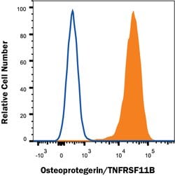 Human Osteoprotegerin/TNFRSF11B Antibody, R D Systems 25 &mu;g; Unconjugated:Antibodies,