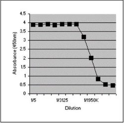 Ovalbumin Rabbit anti-Chicken, Polyclonal, Novus Biologicals:Antibodies:Primary