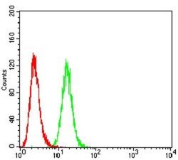 P2Y1/P2RY1 Antibody (4G5D6) - BSA Free, Novus Biologicals:Antibodies:Primary