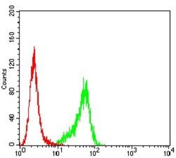 P2Y14/GPR105 Antibody (8A11B11) - BSA Free, Novus Biologicals 0.1 ml; Unconjugated:Antibodies,