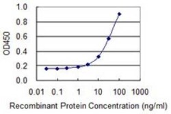 PA2G4/EBP1 Antibody (2A5), Novus Biologicals 0.1 mg | Buy Online | Novus Biologicals | Fisher Scientific