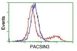 Novus Biologicals PACSIN3 Antibody (OTI2A3), Novus Biologicals 0.1 mL | Buy Online | Novus Biologicals | Fisher Scientific