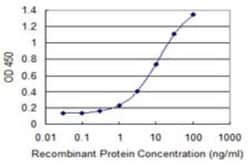 PAGE4 Antibody (7C3), Novus Biologicals 0.1 mg | Buy Online | Novus Biologicals | Fisher Scientific