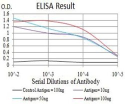 PAK3 Antibody (4G8F11) - BSA Free, Novus Biologicals 0.1 ml; Unconjugated:Antibodies,