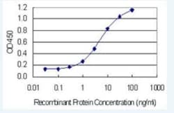PAP39 Antibody (5H10), Novus Biologicals 100 &mu;g | Buy Online | Novus Biologicals | Fisher Scientific