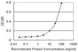 PARVB Antibody (4A11), Novus Biologicals 0.1 mg | Buy Online | Novus Biologicals | Fisher Scientific