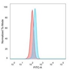 PBX2 Mouse anti-Human, Clone: PCRP-PBX2-1C4, Novus Biologicals 20 &mu;g;