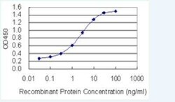 PBXIP1 Antibody (7E1), Novus Biologicals 100 &mu;g | Buy Online | Novus Biologicals | Fisher Scientific