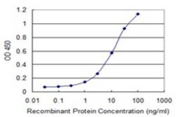 Novus Biologicals PCDHA7 Antibody (4G3), Novus Biologicals 0.1 mg | Buy Online | Novus Biologicals&trade; | Fisher Scientific