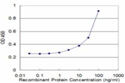 PCGF3 Antibody (1F1), Novus Biologicals 0.1 mg | Buy Online | Novus Biologicals | Fisher Scientific