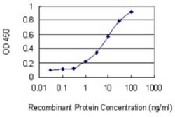 PCGF5 Antibody (3C10), Novus Biologicals 0.1 mg; Unconjugated:Antibodies,