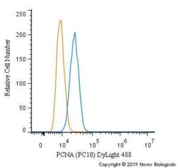PCNA Antibody (PC10) - Azide and BSA Free, Novus Biologicals 0.1 mL | Buy Online | Novus Biologicals | Fisher Scientific