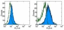 PD-1 Antibody (J43) - BSA Free, Novus Biologicals 0.1 mg; Unconjugated:Antibodies,