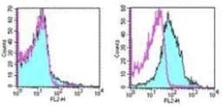 PD-1 Antibody (J43) - BSA Free, Novus Biologicals 0.1 mg; Unconjugated:Antibodies,