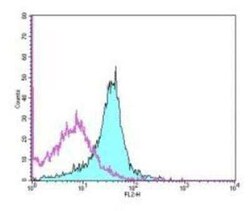 PD-L1 Antibody (MIH5) - BSA Free, Novus Biologicals:Antibodies:Primary