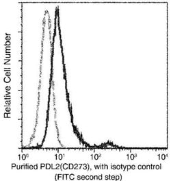 PD-L2/B7-DC/PDCD1LG2 Rabbit anti-Human, Clone: 2, Novus Biologicals 100