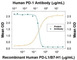 Human PD-1 Antibody, R D Systems 25 &mu;g | Buy Online | R&D Systems | Fisher Scientific