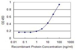 PDGF-D/SCDGFB Antibody (4H2), Novus Biologicals 0.1 mg; Unconjugated:Anticuerpos
