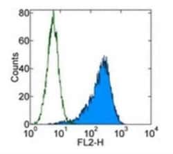 PDGFR alpha Antibody (APA5) - BSA Free, Novus Biologicals:Antibodies:Primary