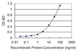 PDIR Antibody (3A3), Novus Biologicals 0.1 mg | Buy Online | Novus Biologicals | Fisher Scientific