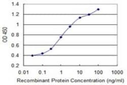 PELO Antibody (2C2), Novus Biologicals 0.1 mg | Buy Online | Novus Biologicals | Fisher Scientific