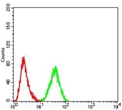 PELP1 Antibody (4F1D1) - BSA Free, Novus Biologicals 0.1 ml; Unconjugated:Antibodies,
