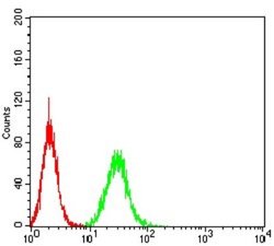 PGRMC1 Antibody (7G11G8) - BSA Free, Novus Biologicals:Antibodies:Primary
