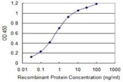 PGRMC2 Antibody (2A3), Novus Biologicals 0.1 mg | Buy Online | Novus Biologicals | Fisher Scientific